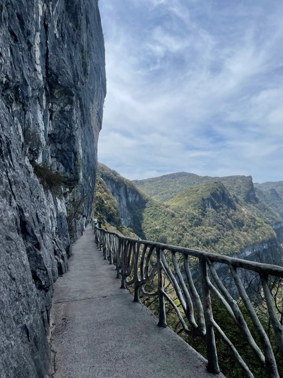 重庆南川金佛山风景区图片