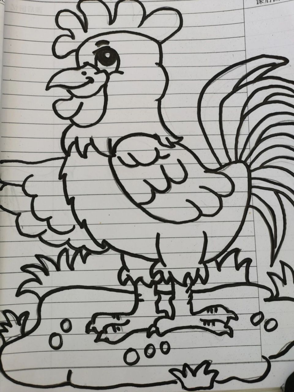 幼儿大公鸡绘画图片图片