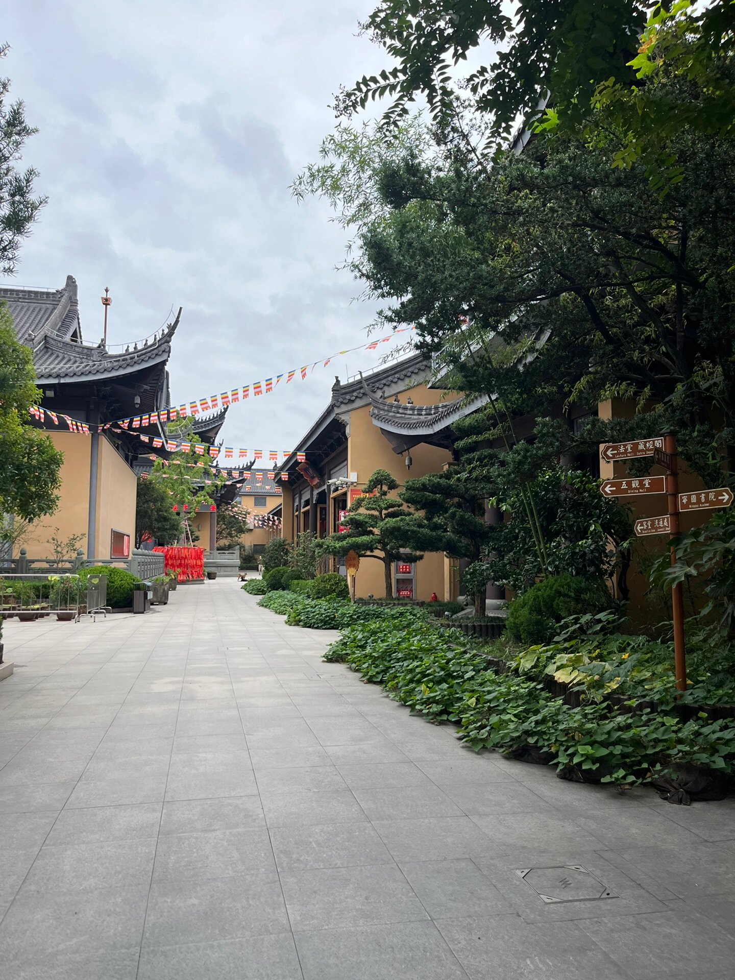 上海宁国禅寺门票图片