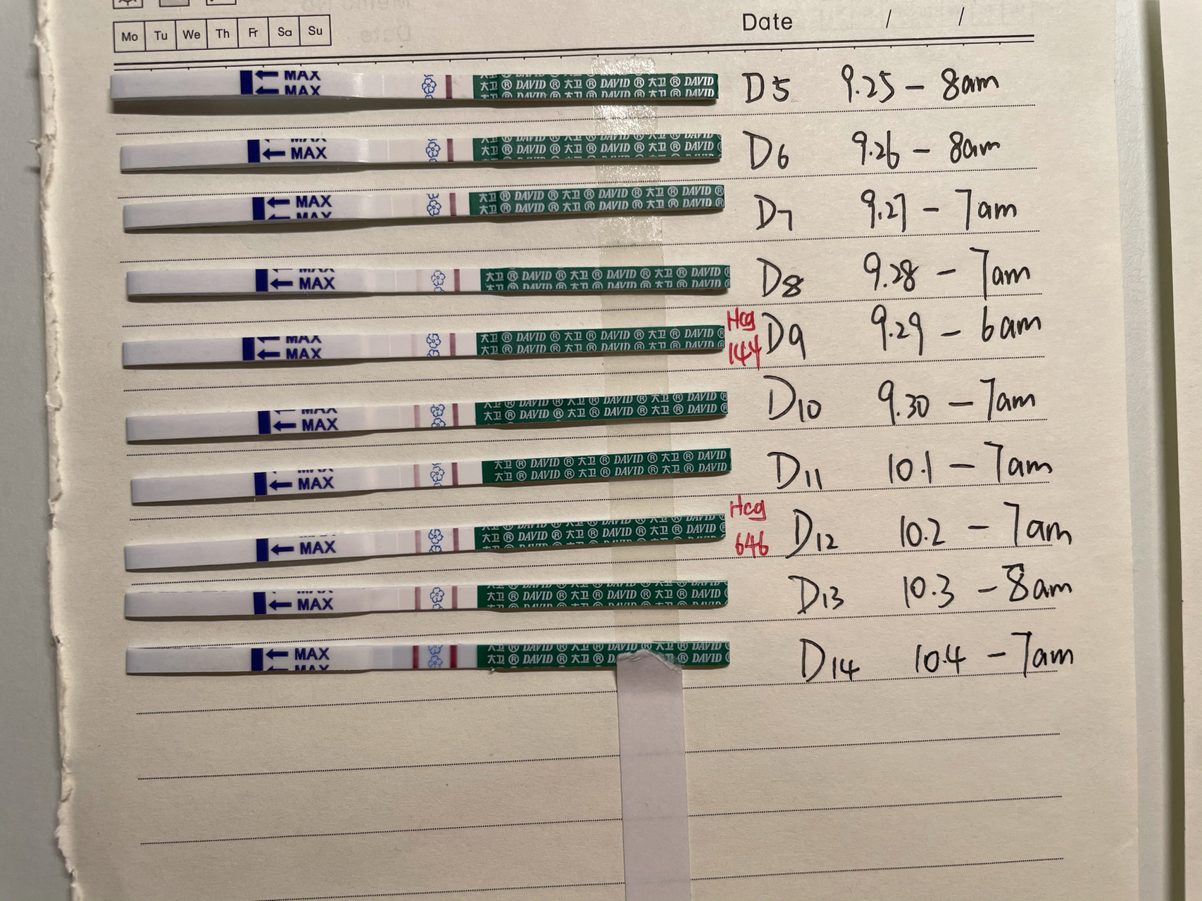 囊胚移植14天,官方了 今天血值顺利翻倍,医生都不叫我再抽翻倍了,我不