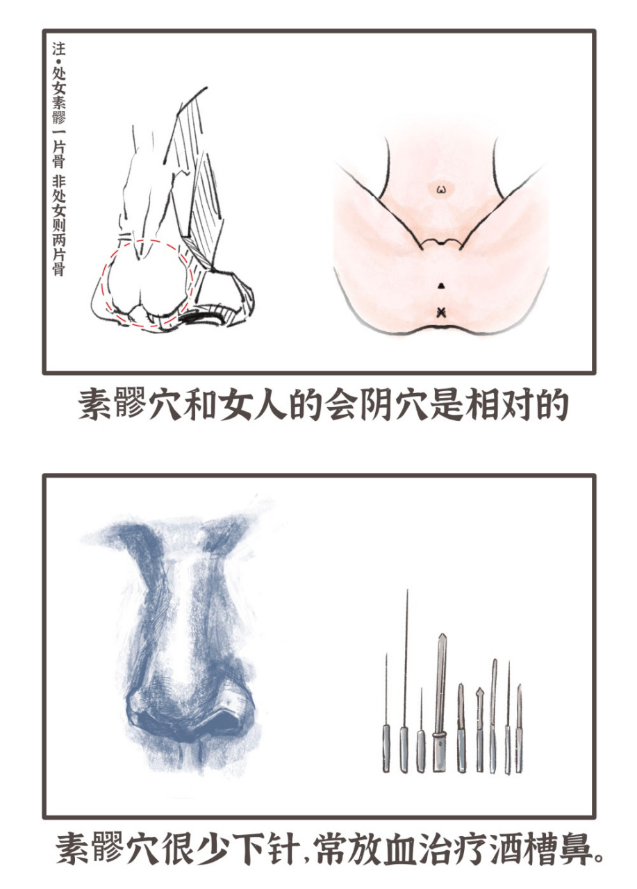 素髎的准确位置图片图片