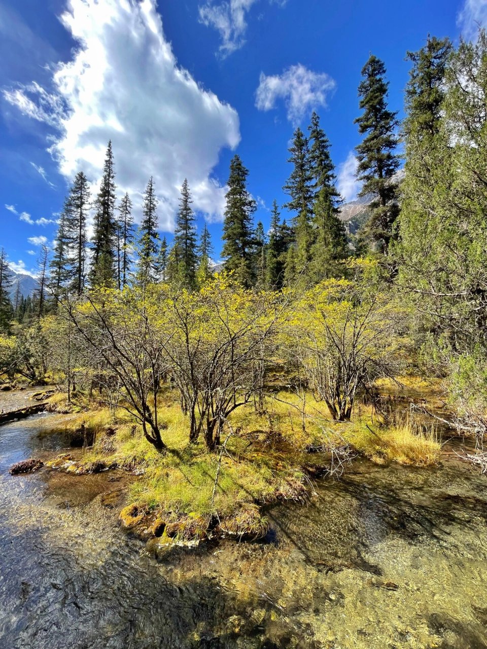 四川旅游|平武王朗,这是什么神仙地方7515 98如果不想去人山