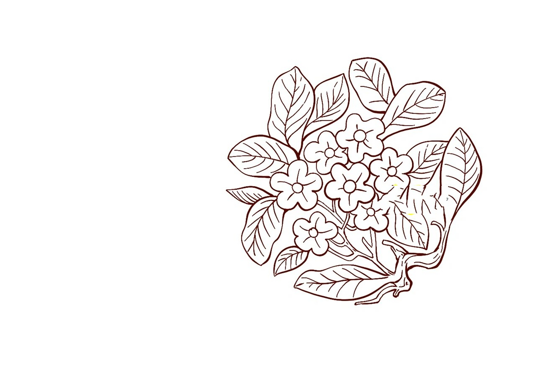 传统纹样中的适合纹样