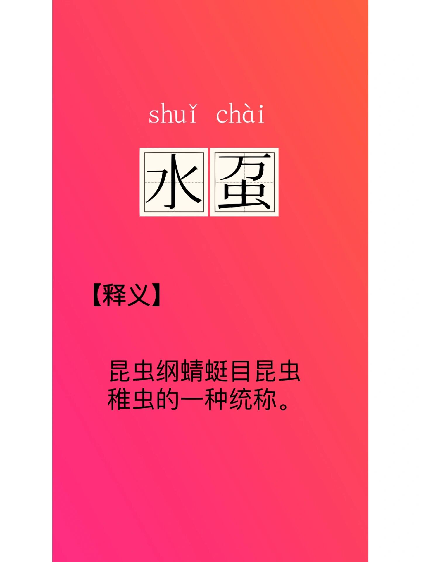 每日分享一个词