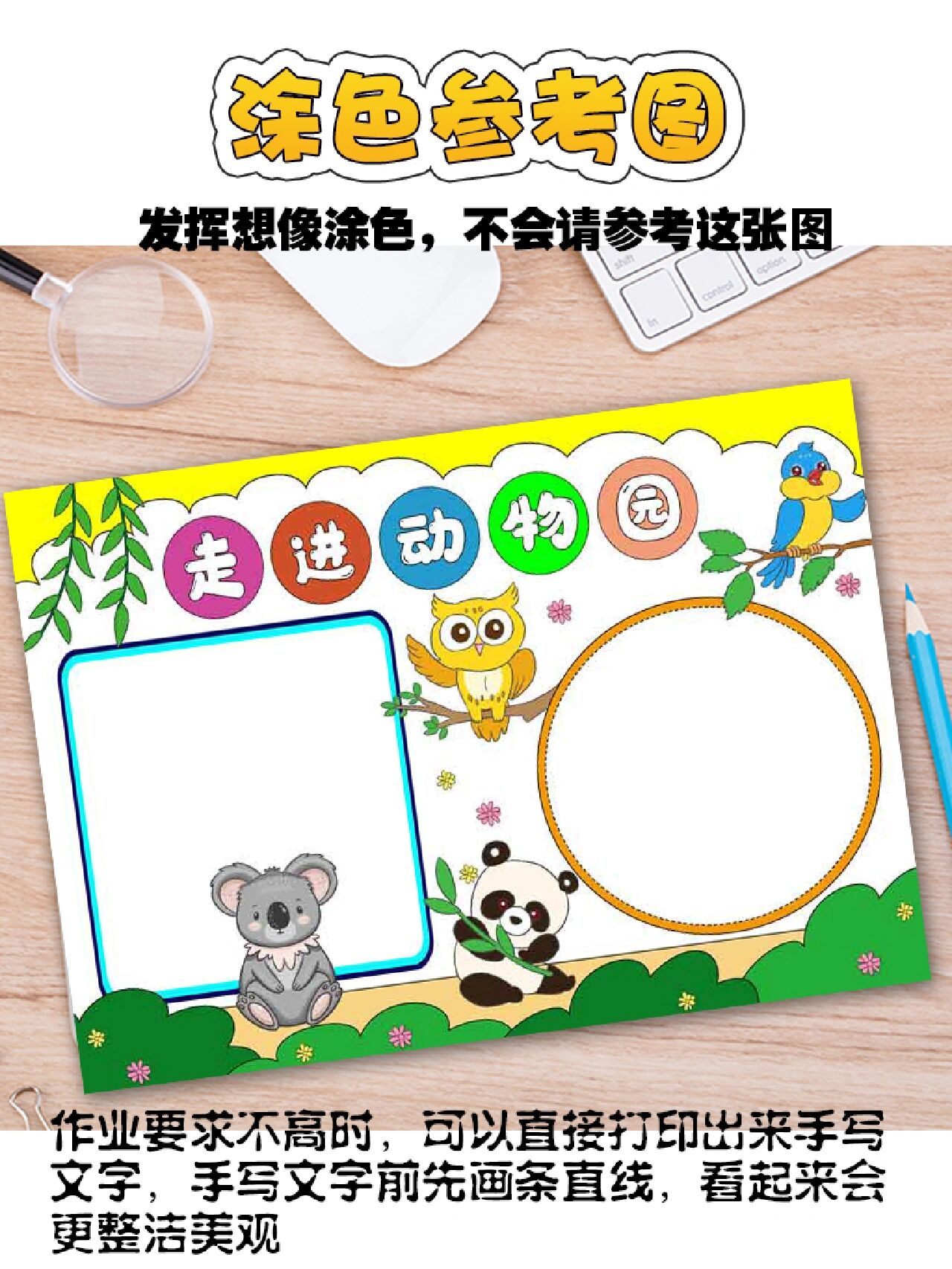 走进动物园手抄报模板