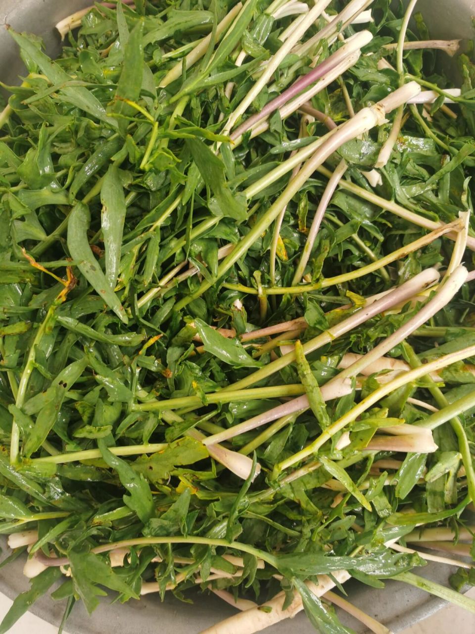 野菜淹沙盖的做法:沙盖多洗几遍,洗干净浇上热水,把沙盖翻上下翻一下