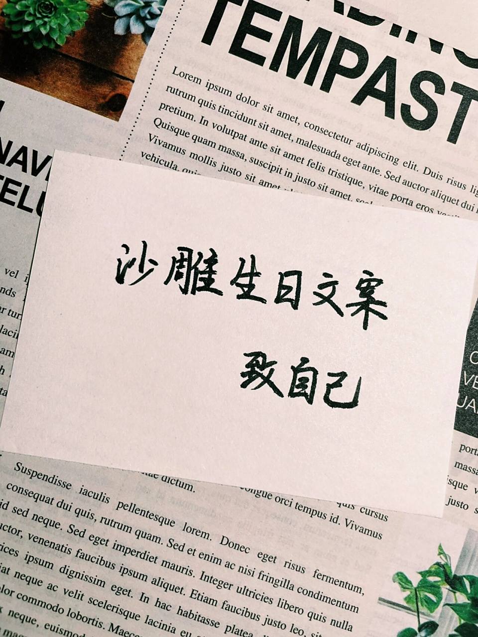 沙雕生日文案致自己