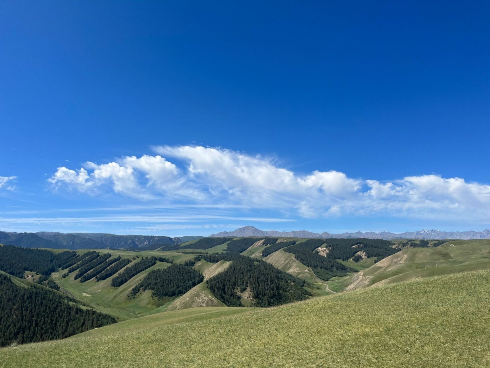 张掖之【康乐草原】 康乐草原是【个人】喜好第二的.