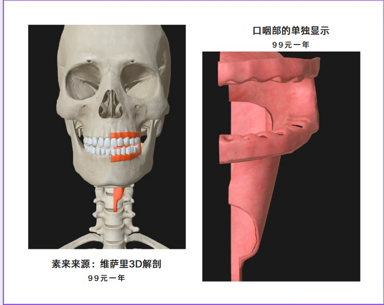 咽部分三鼻口喉,前壁开口气食流;  上通鼓室下通喉,吞咽闭气不用愁.