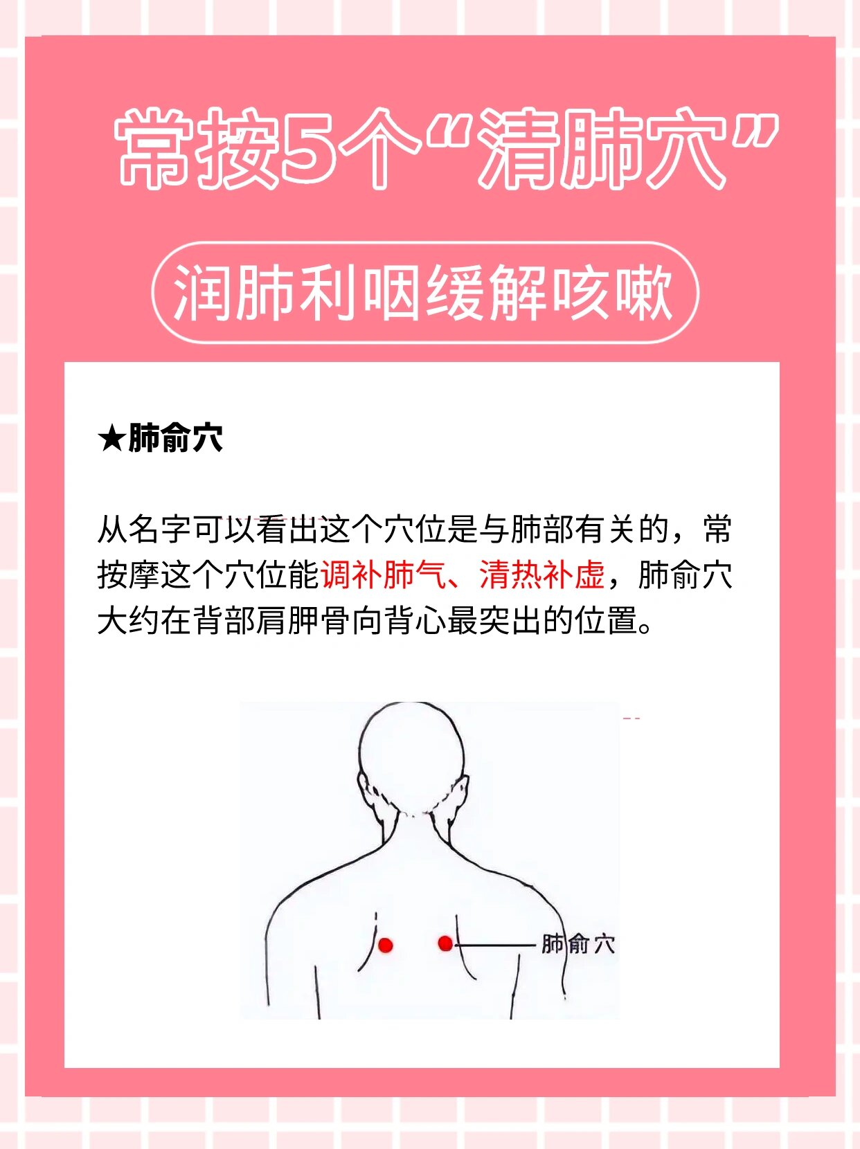 按摩肺部位置图片图片