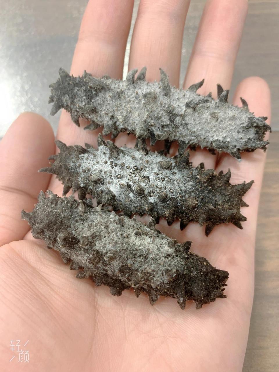 下面给大家科普一下为什么海参会出现返盐的