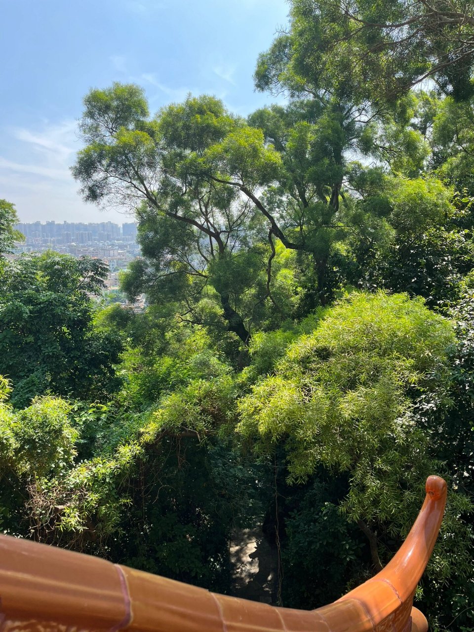 中山遛娃好地方-坦洲山公园 这个山不高,带着娃爬上爬下大概2个钟,有3