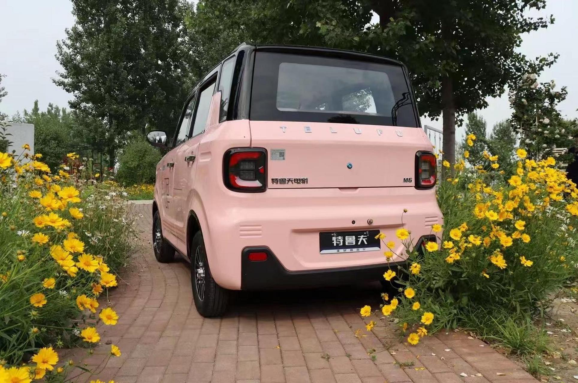 特鲁夫m6小熊猫,四轮低速电动车