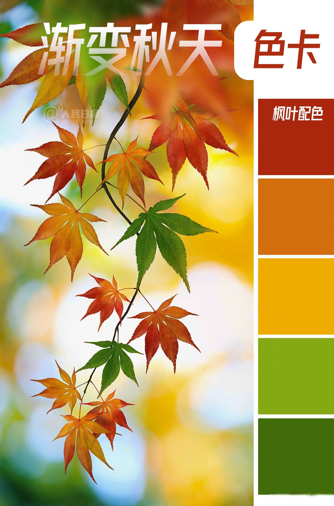 一组渐变秋天色卡↓↓↓转存收藏