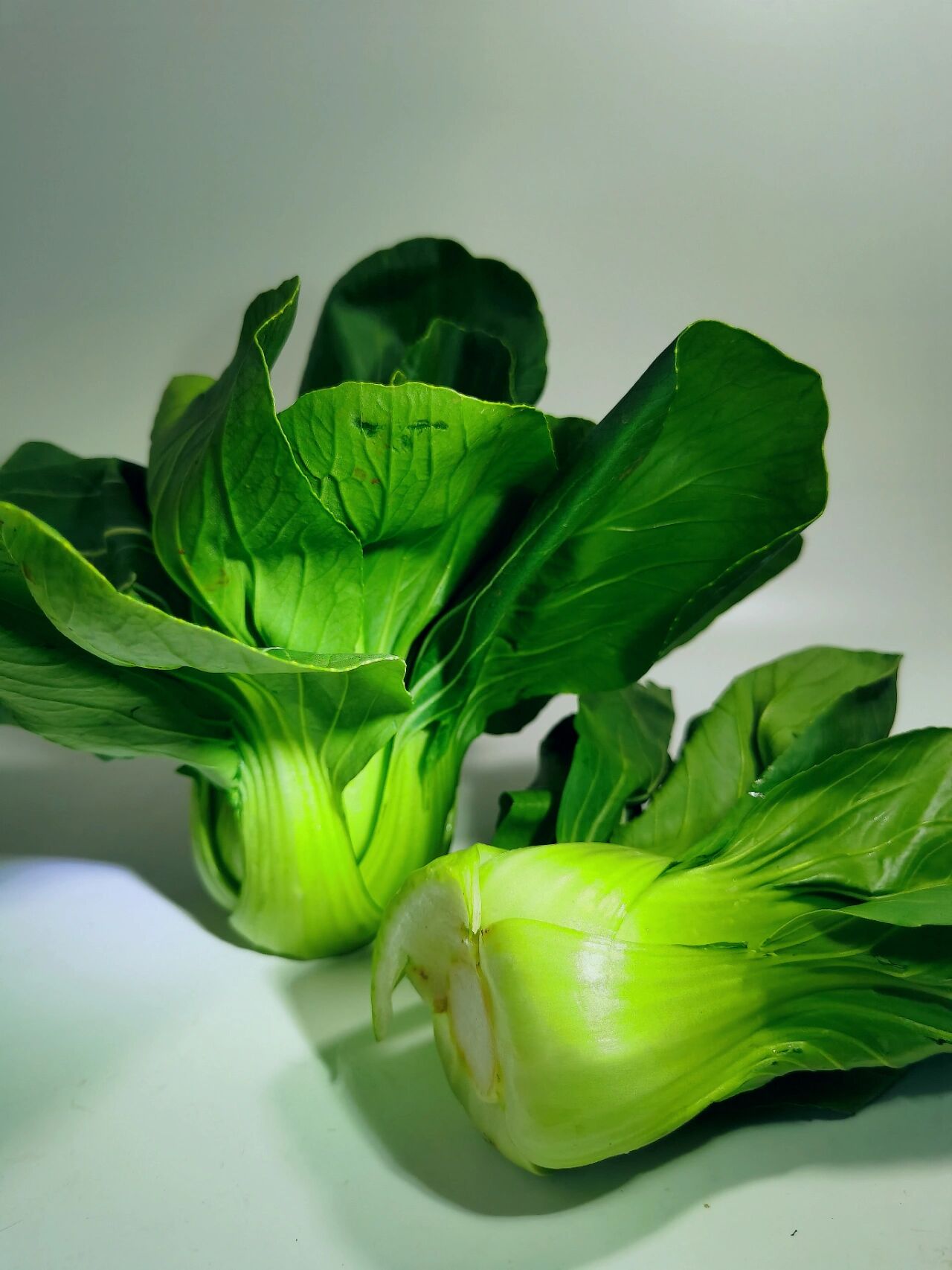 绘画素材——青菜