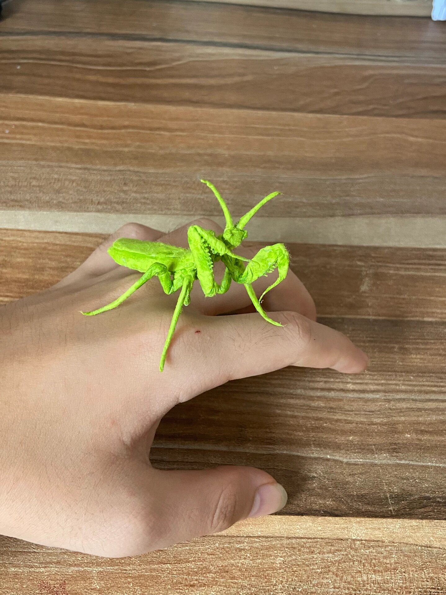 折一只仿生螳螂