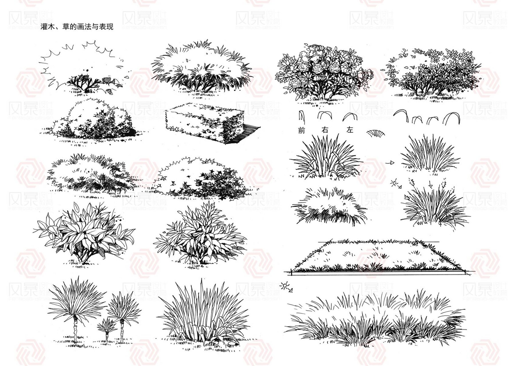 平面图灌木丛画法图片