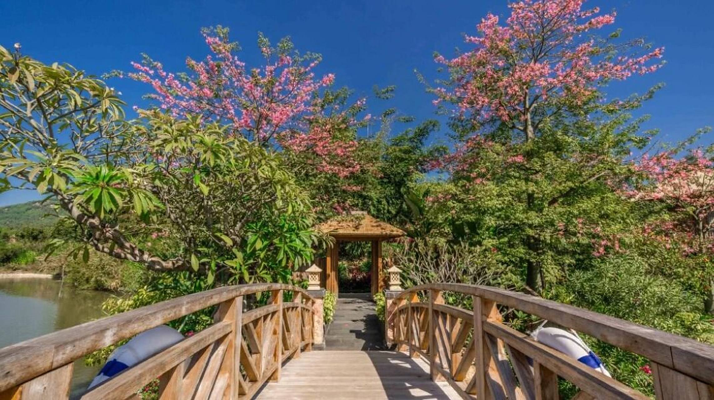 度假亲子胜地9799长泰唐宋花仙谷7315             承包全家