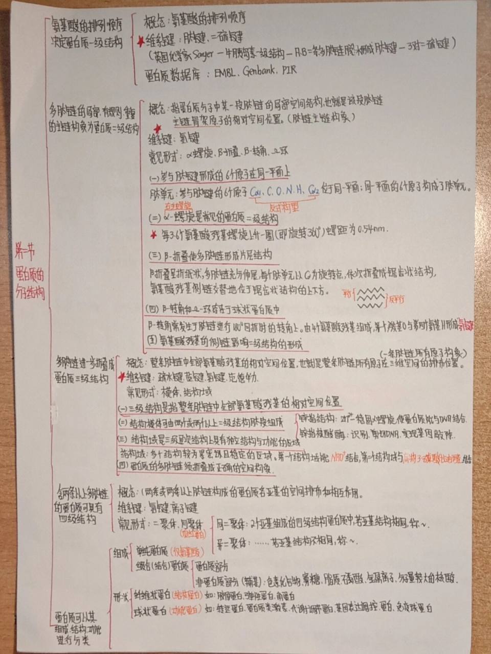 生化思维导图(第一章蛋白质的结构与功能)