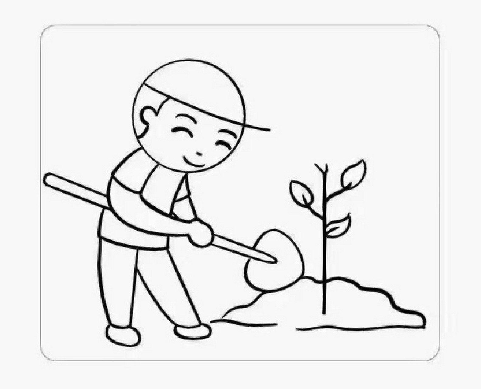 幼儿园—植树节简笔画