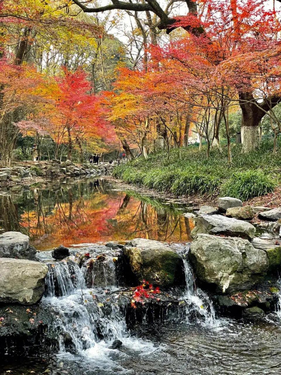 九溪烟树是杭州的一处美景,位于西湖区,距离杭州市区约16公里.