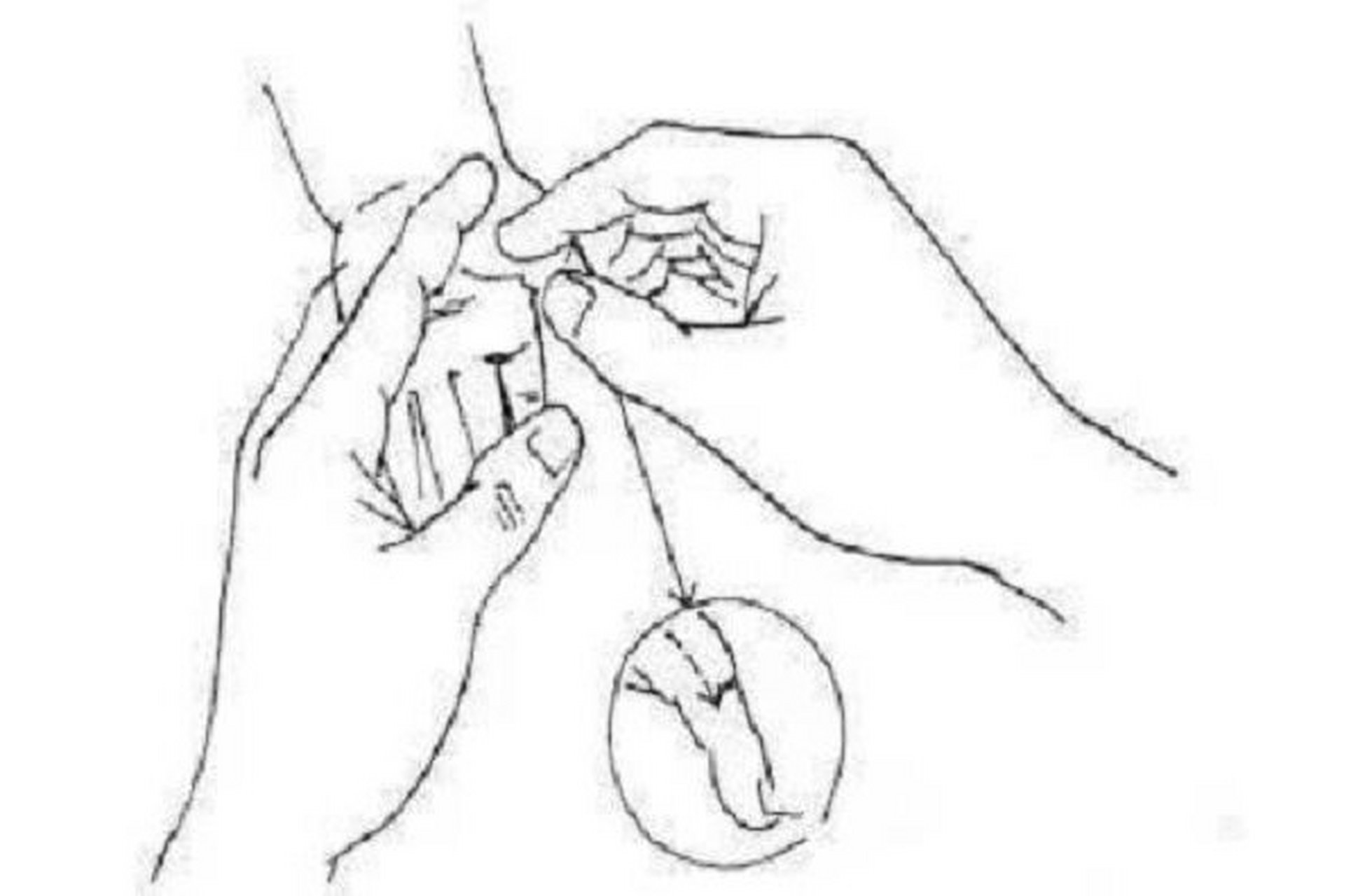 清胃经小儿推拿 1 小儿胃经的准确位置图 在拇指掌侧第一节,大鱼际