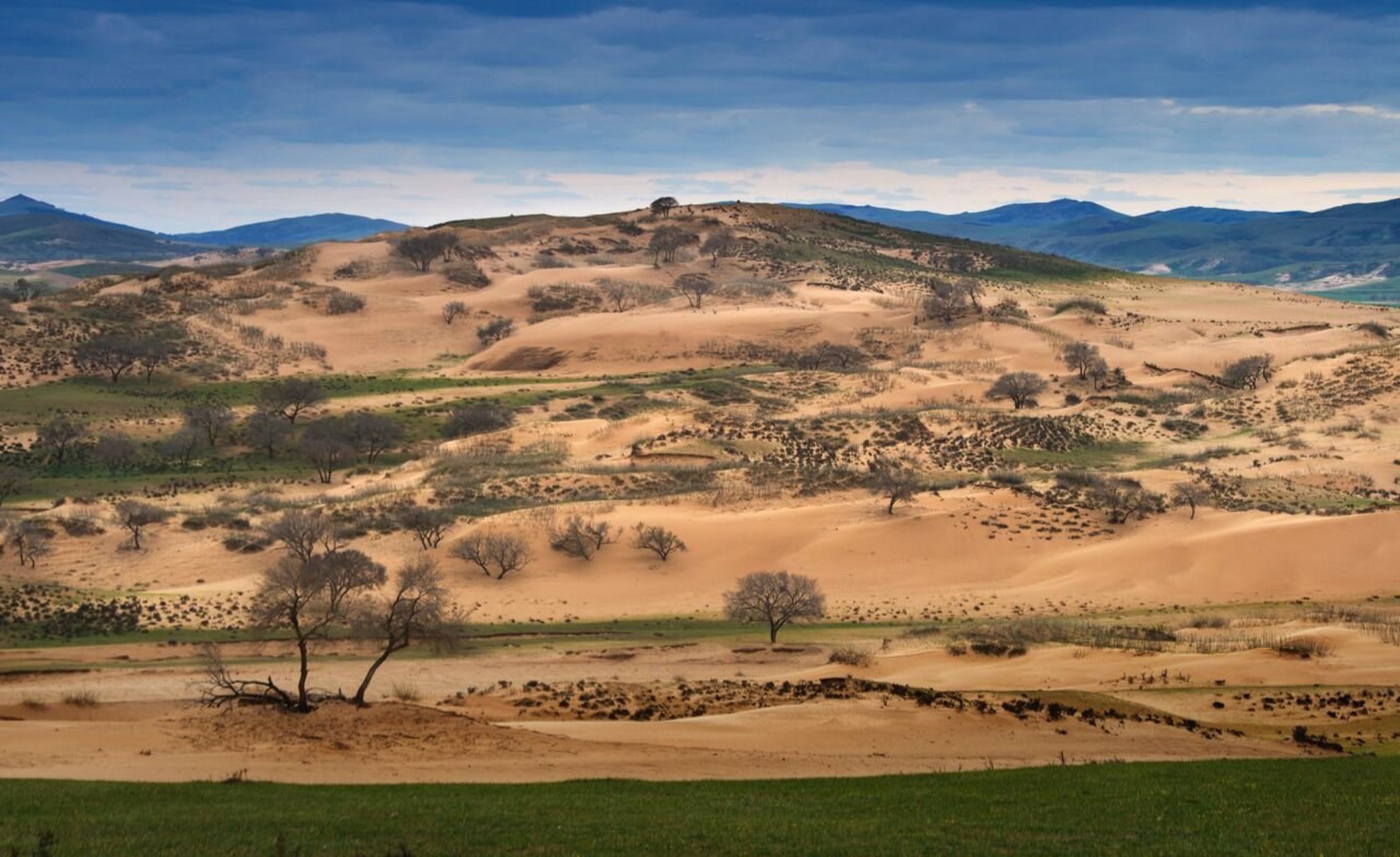 锡林郭勒盟的浑善达克沙地是国内十大沙漠沙地之一,距离北京仅有180