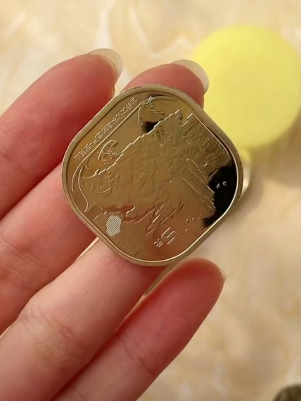 5元硬币 真香 金灿灿 5元硬币,真的瞬间被征服!