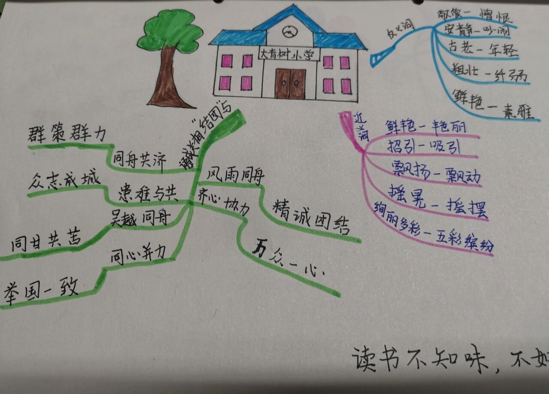 三年级上册语文《大青树下的小学》思维导图