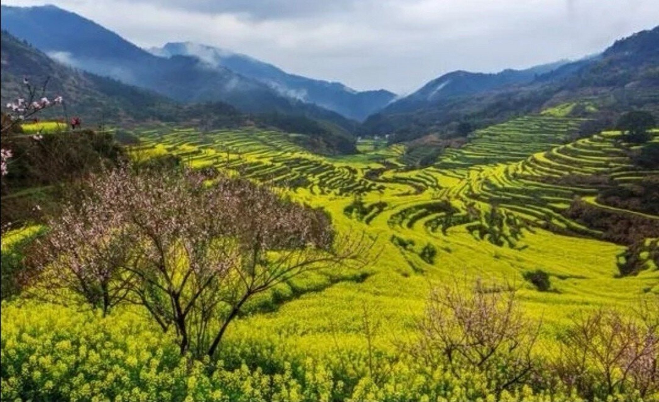 婺(wu)源 朱熹故里——婺源 中国最美乡村——婺源 墨香的"书乡"