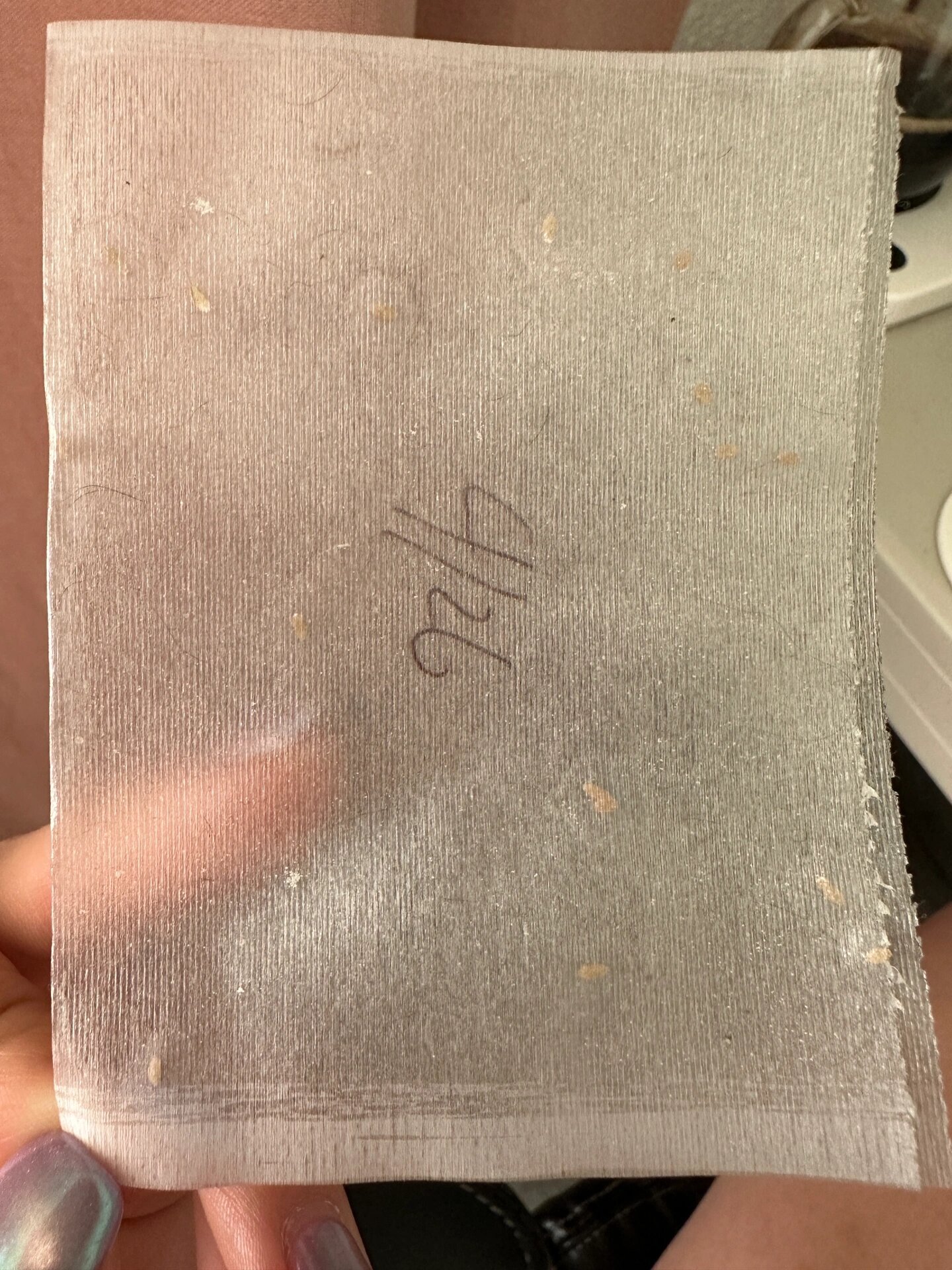 猫咪绦虫节片  节片是不是只有晚上会掉落呢?