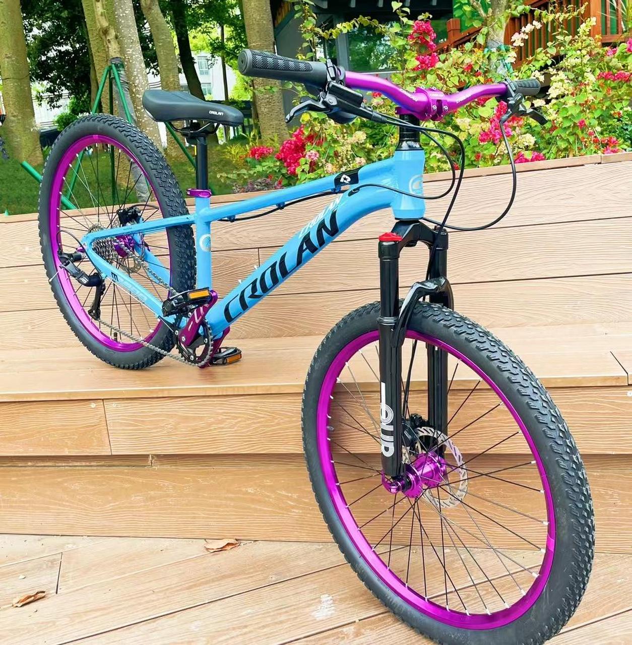 绿色出行低碳又环保  凯罗兰土坡车适合中小学生的玩具来了,章星油刹