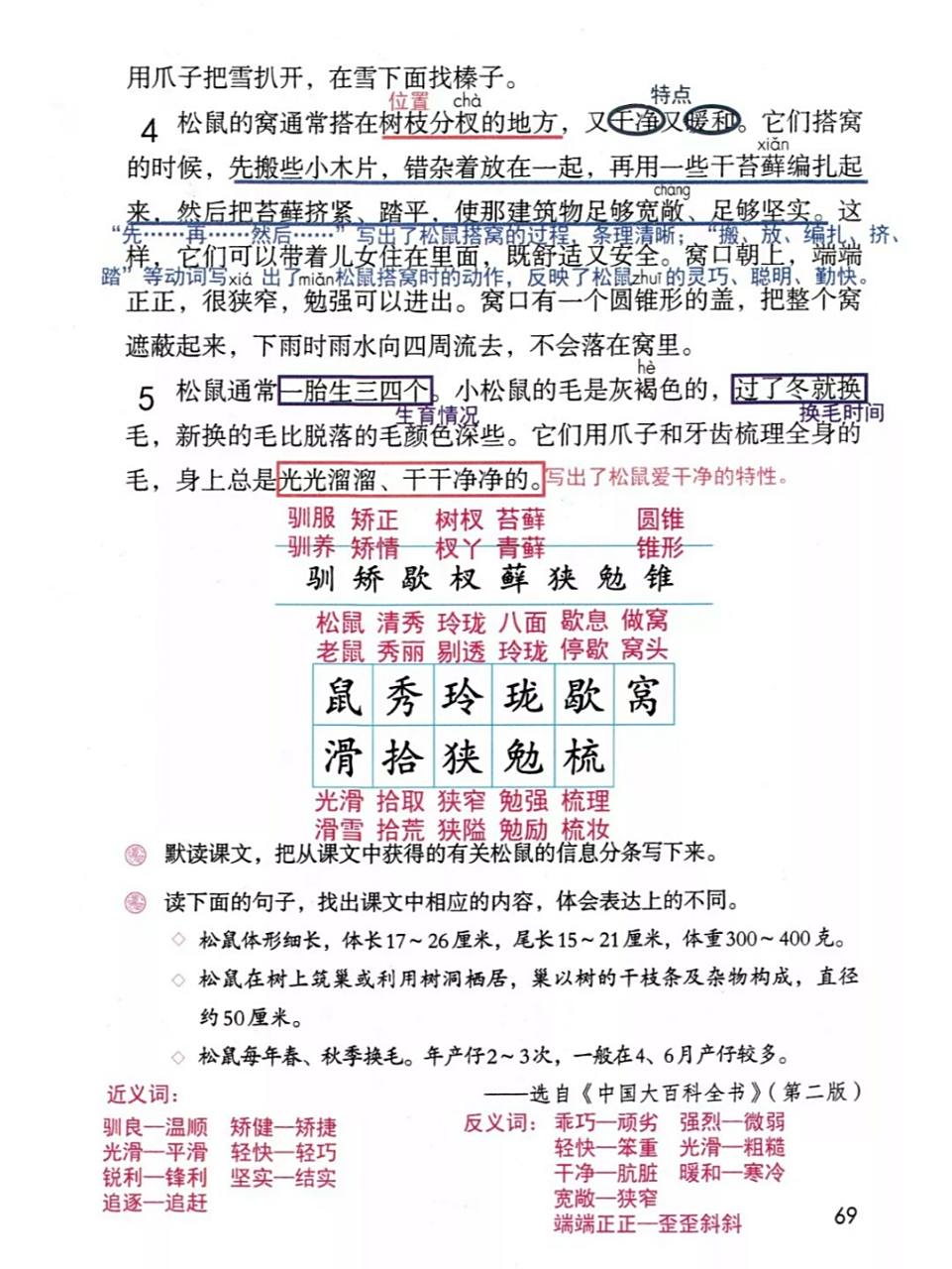 五上第17课《松鼠》课堂笔记 #小学语文课堂笔记# #小学语文# #暑期