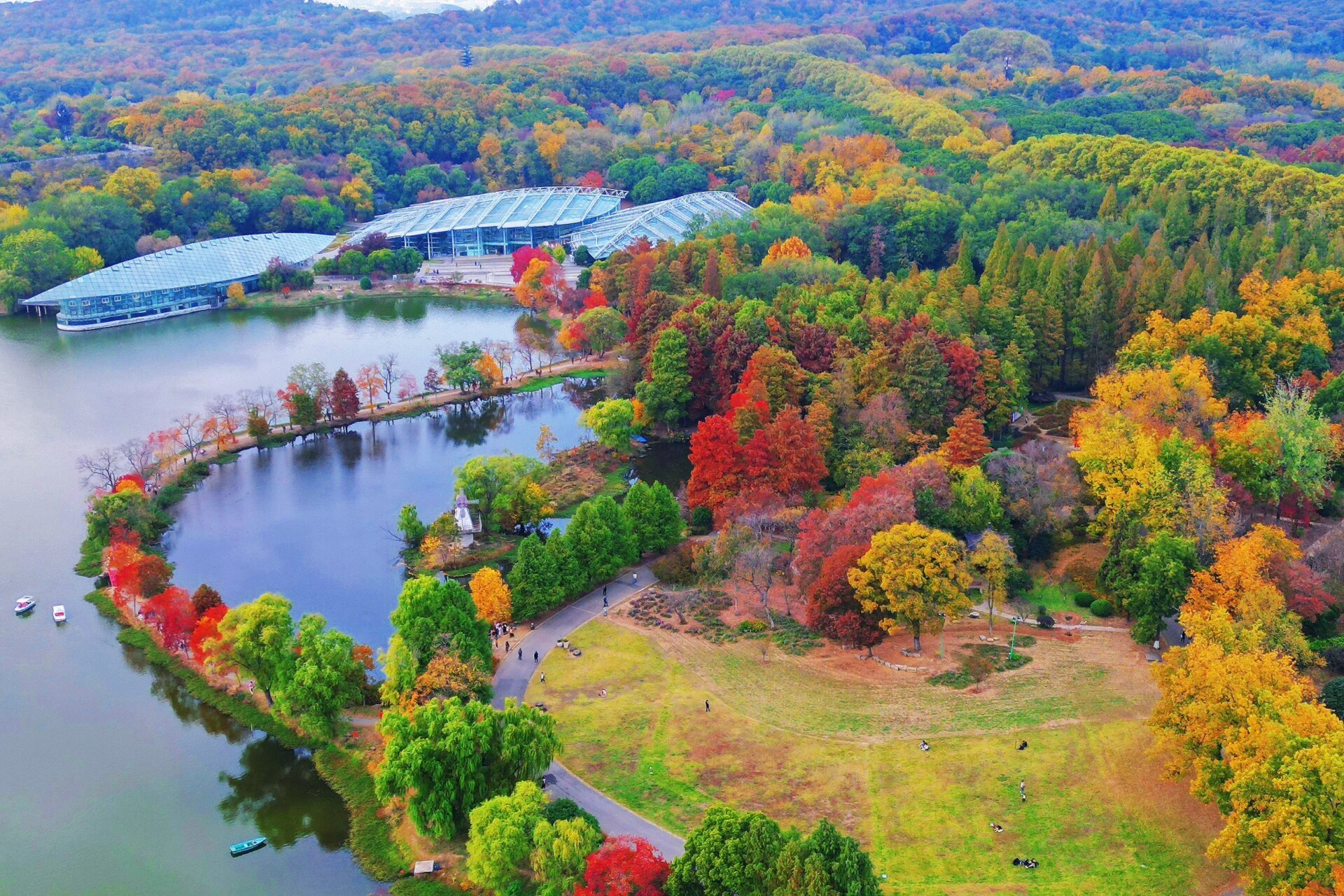 南京最美秋景之一,画一般中山植物园月牙堤 每年这个季节,位于中山植