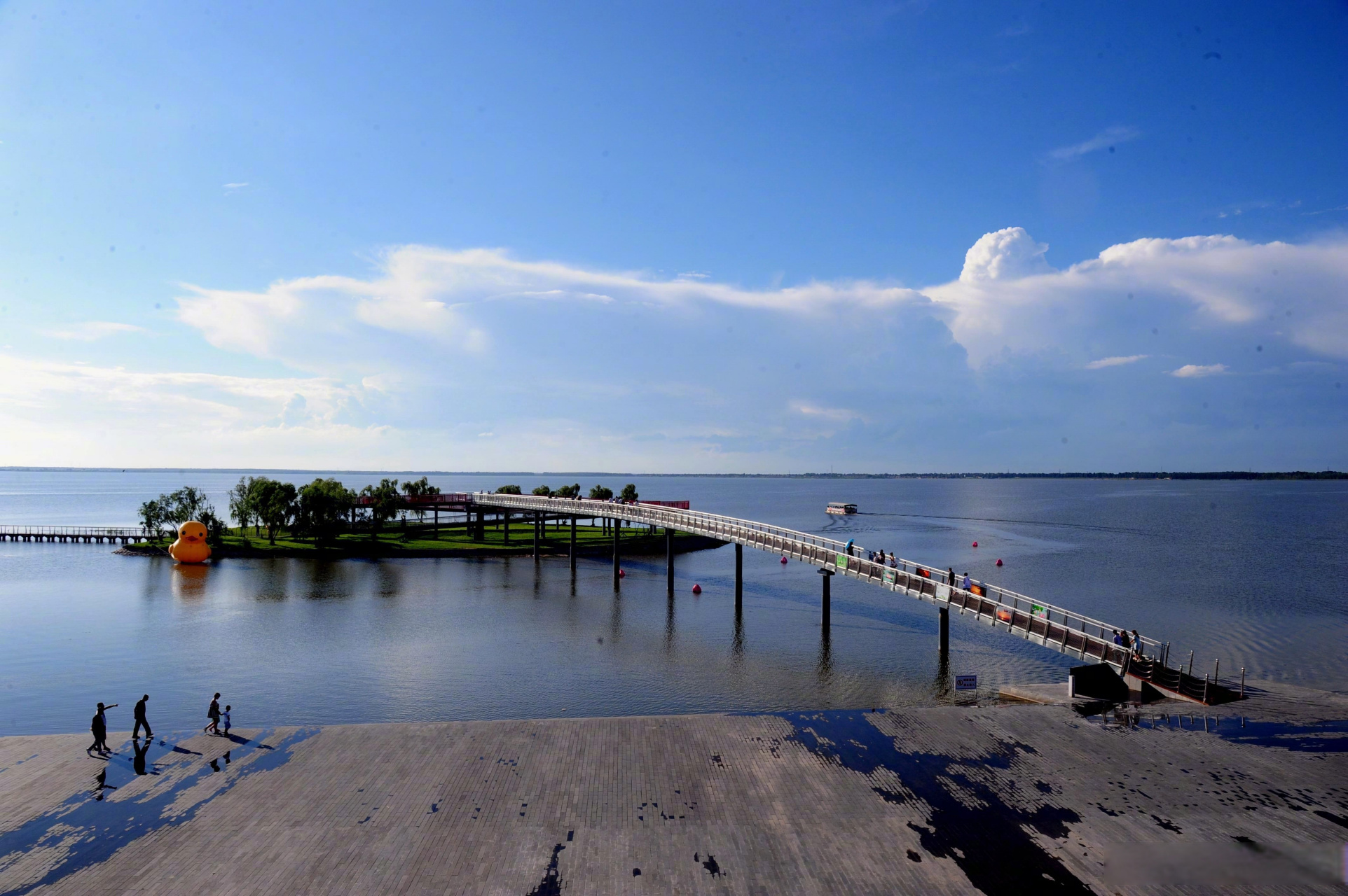 沈阳康平现鸟浪奇观#】#发现沈阳之美#康平县卧龙湖生态区迎来春季鸟