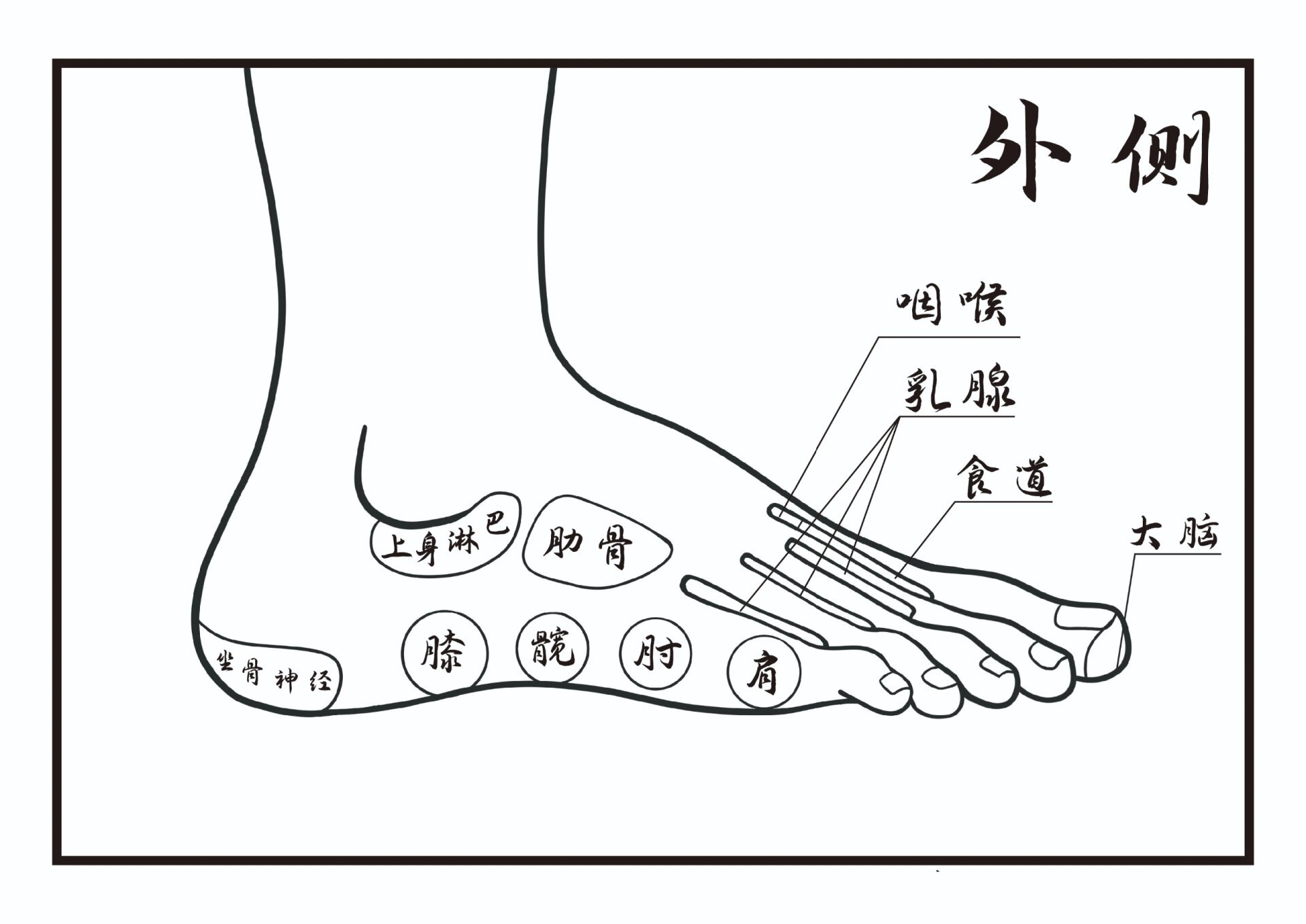 脚诊康复法示意图大图图片