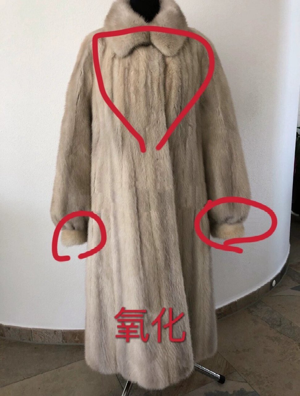 怎么分辨染色或本色貂? 1.