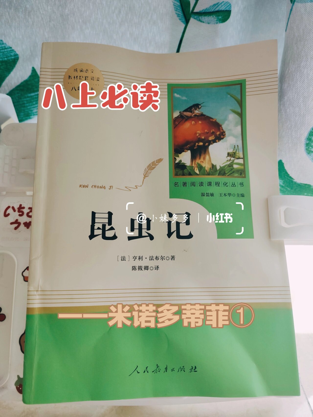 《昆虫记》‖米诺多蒂菲①