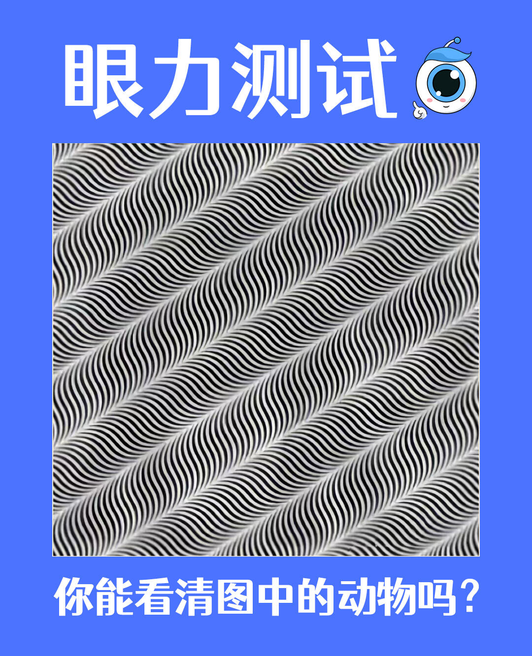 来一波眼力测试!最后一只动物你肯定猜不到