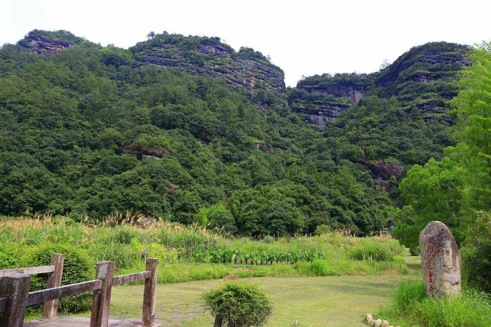 带你了解武夷山正岩山场——莲花峰 95 莲花峰,是武夷山风景区