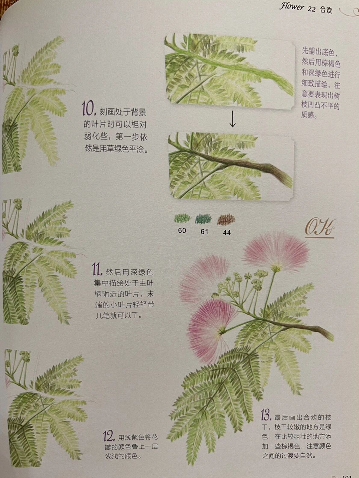 彩铅花卉——合欢花,附步骤图 合欢花语:丝丝缕缕的幸福