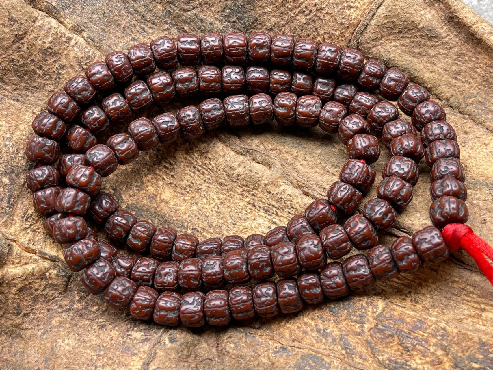 藏区老金刚菩提,喜欢的不要错过