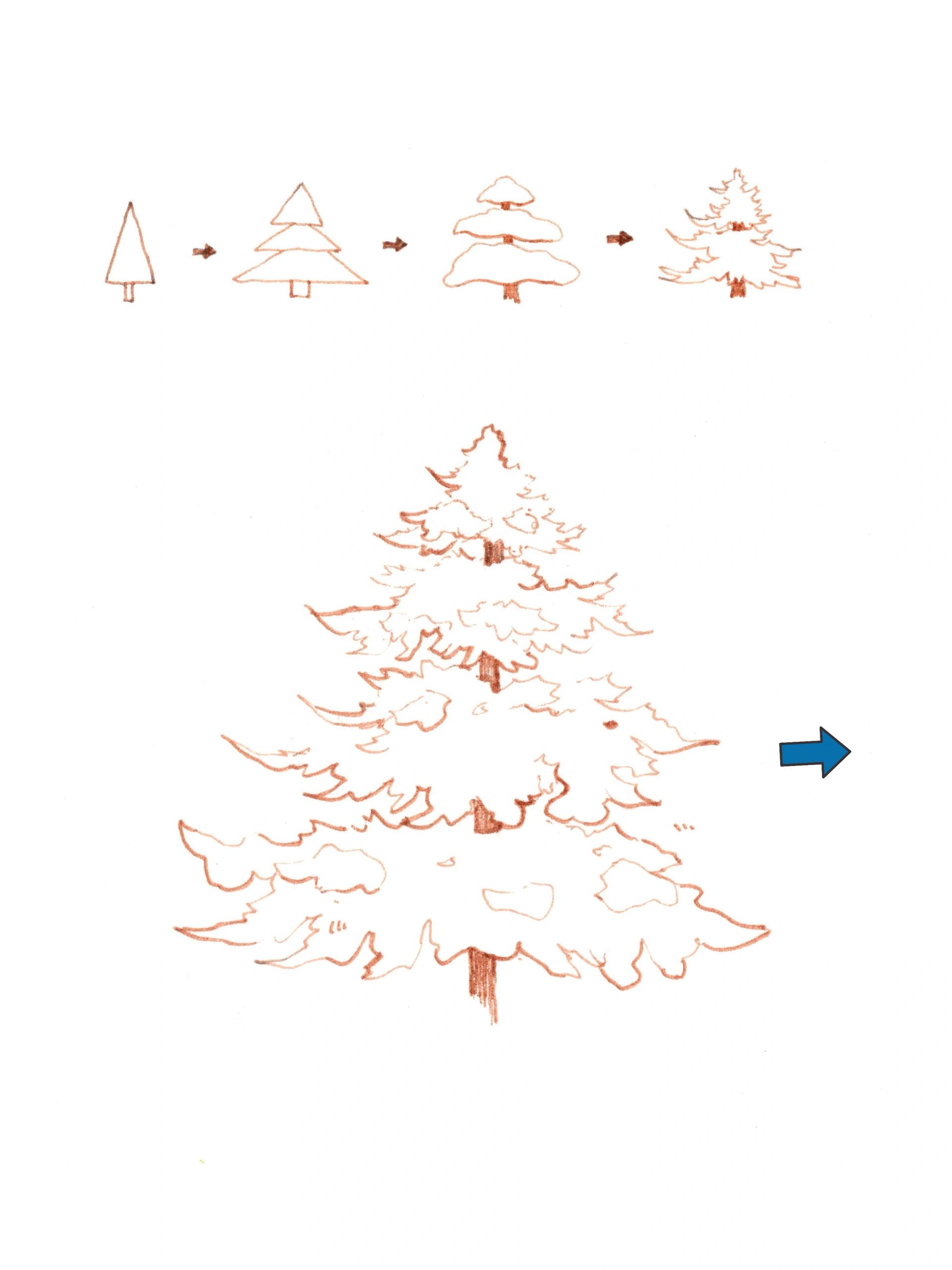 分享几种雪松松树圣诞树的画法|钢笔线稿 叮叮当,叮叮当,节日氛围越来