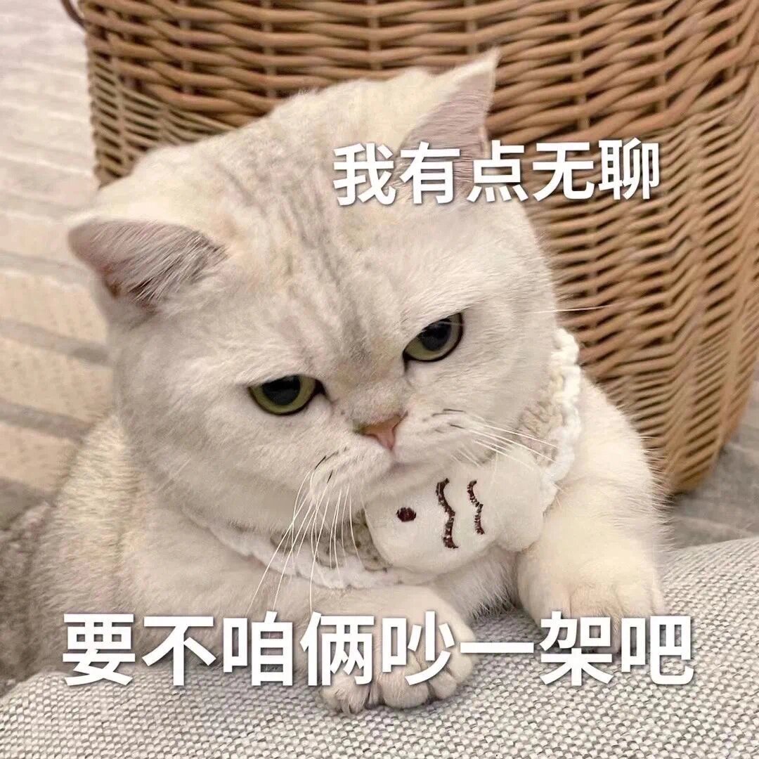 猫猫表情包 我有点无聊 要不咱俩吵一架吧