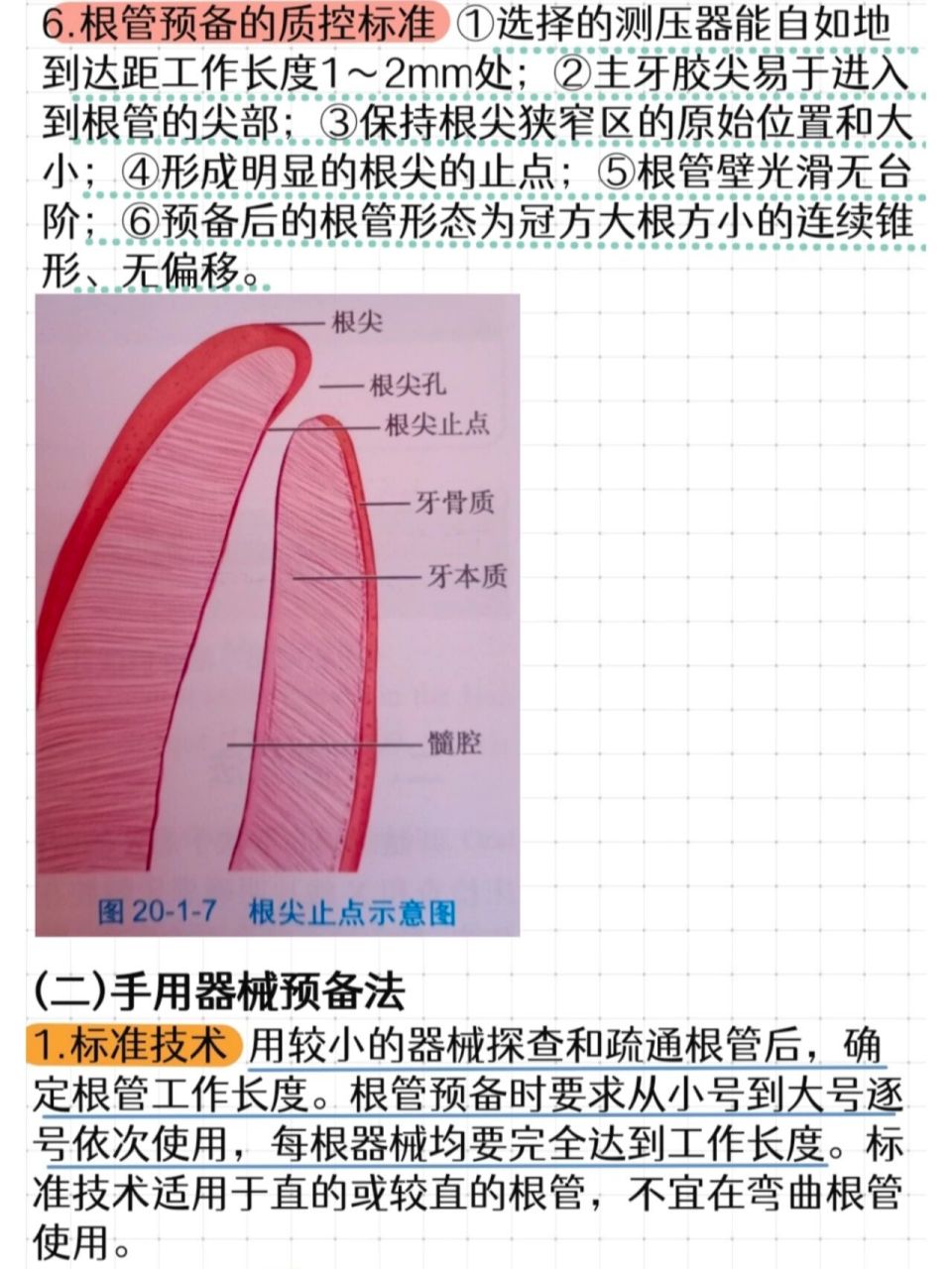 根尖诱导成形术步骤图片