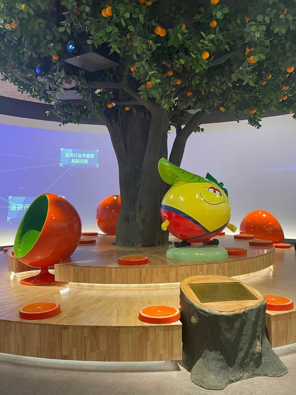 15上75157515 江南四月天,"胡柚之乡"浙江常山万亩柚花盛开