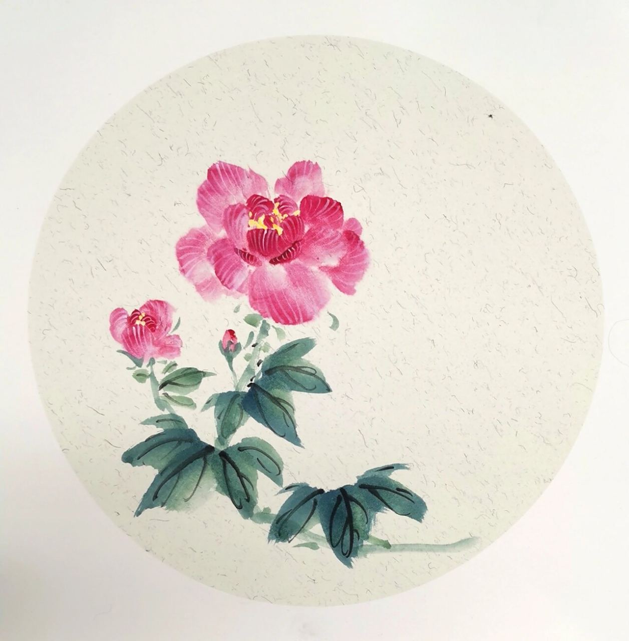 国画芙蓉花 苏青老师《花容月貌》要点 1,此图所绘为芙蓉花,整幅画面