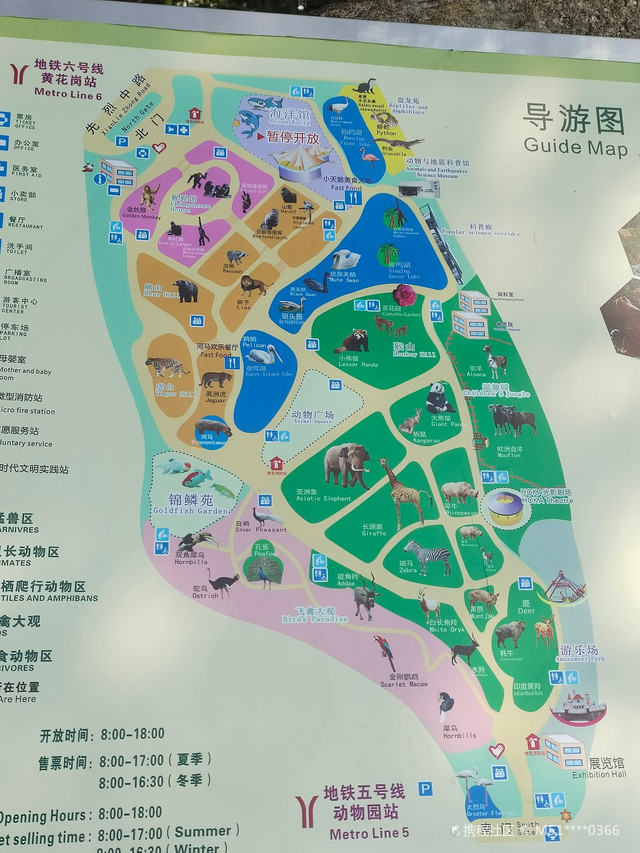 广州最大的动物园!