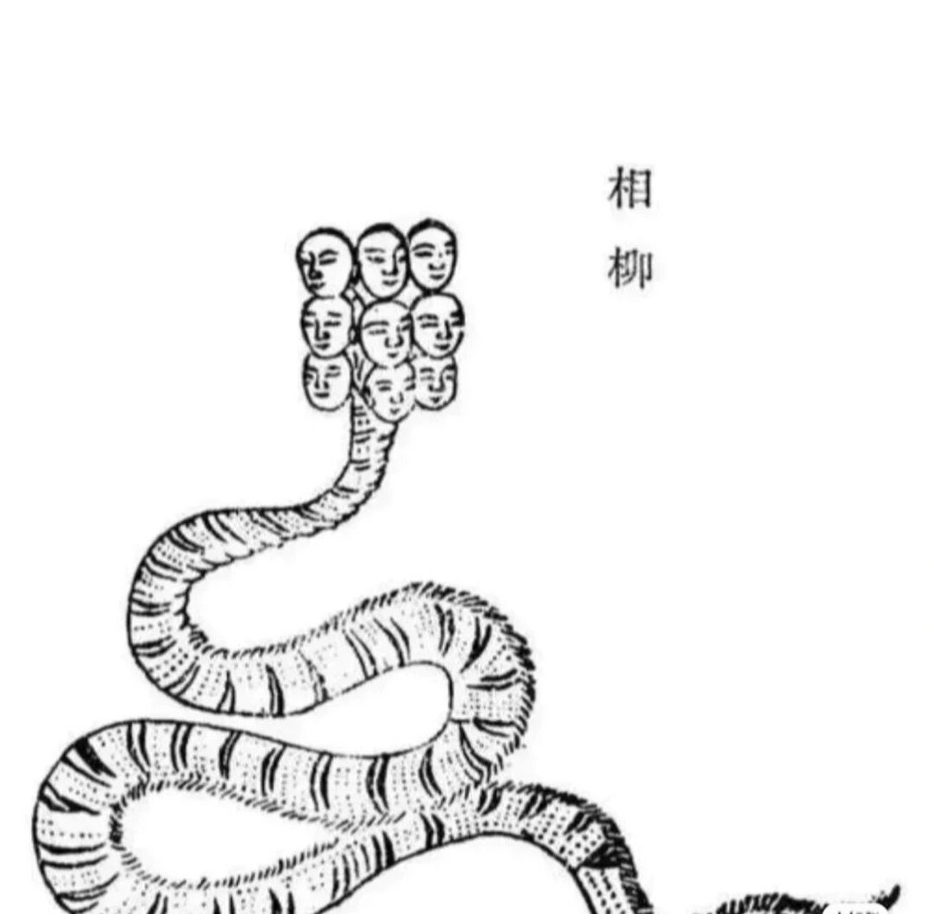 快醒醒,山海经里面的九头相柳是这样的! 我不管,他不是图二那样的