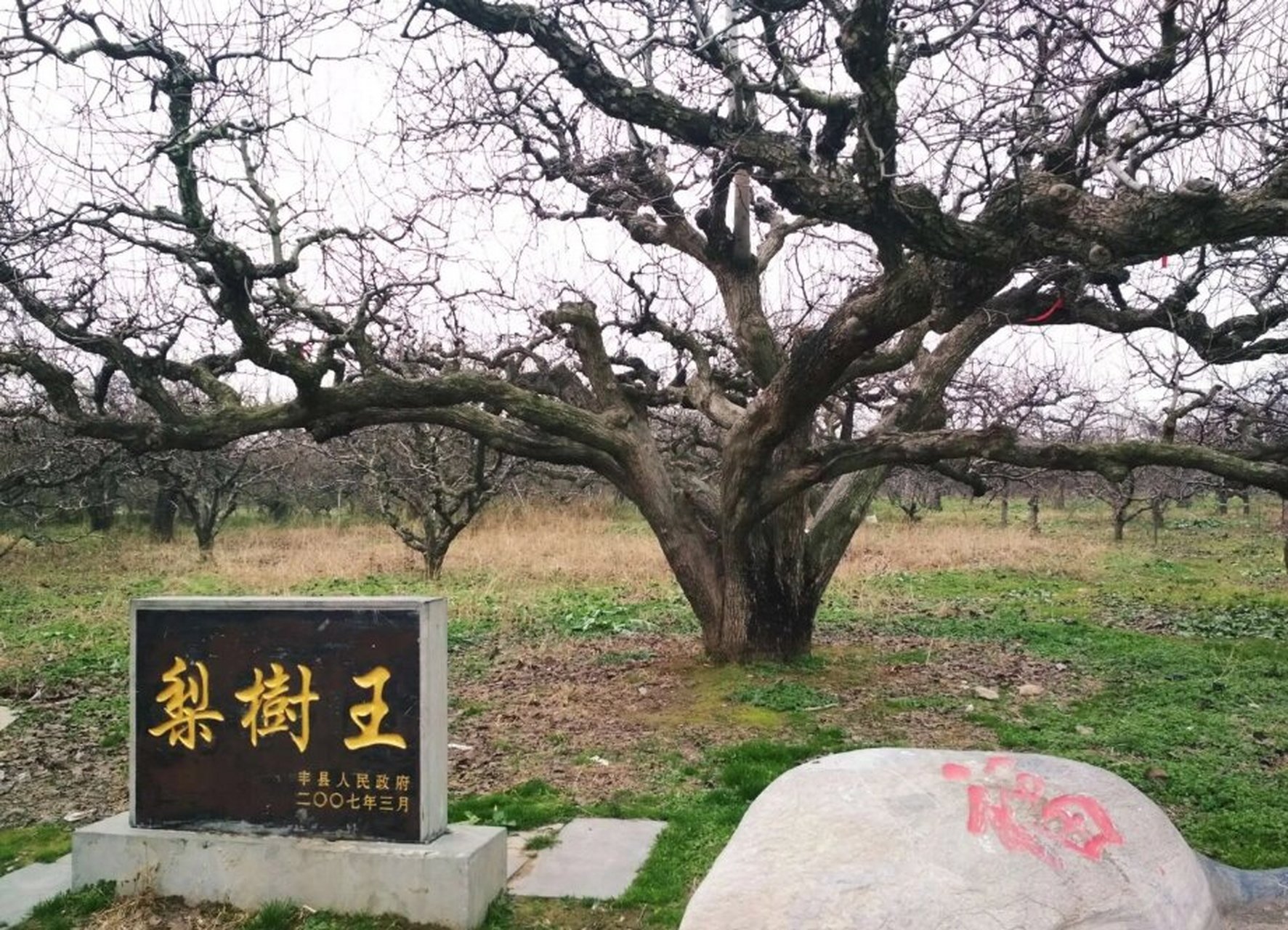 宁陵县石桥镇寺庙图片